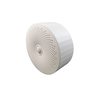 High quality surface mounted ceiling speaker with a constant pressure of 10-20W